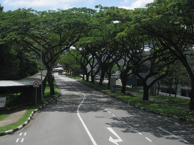 新加坡政府的助学金我们可以申请吗,史诗级新加坡政府助学金申请攻略一览(图1)