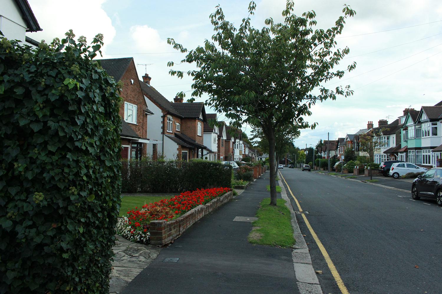 本科英语专业出国读研可以读什么专业,本科英语专业常申请的5个专业分享(图1)