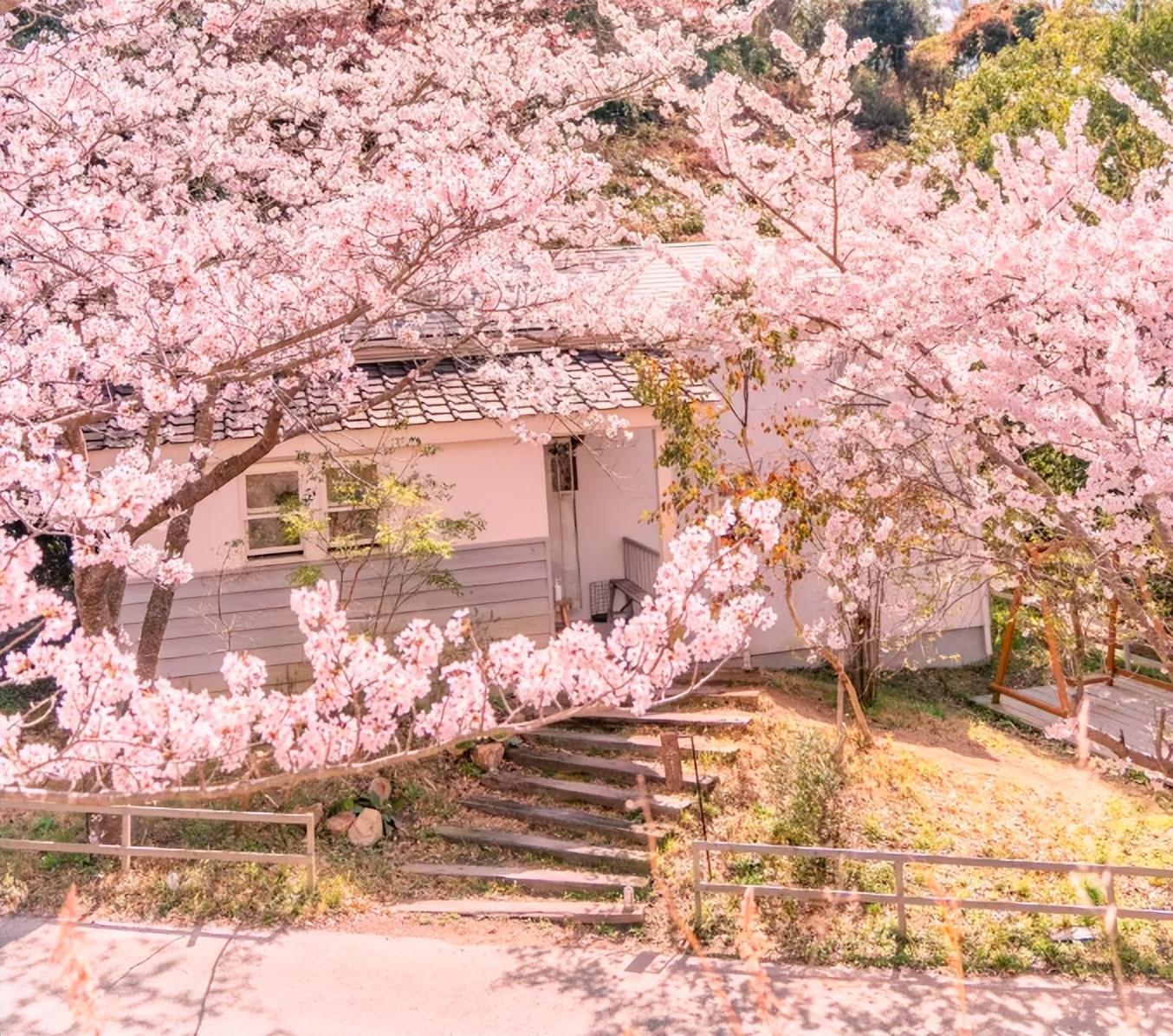 如何参加日本国民健康险,日本办理国民健康保险的实用事项分享(图5)