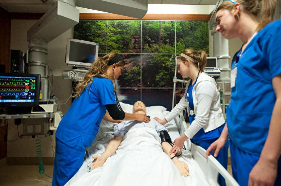 哪个国家最值得护理专业留学,抢手的3个护理专业留学国家推荐(图1)