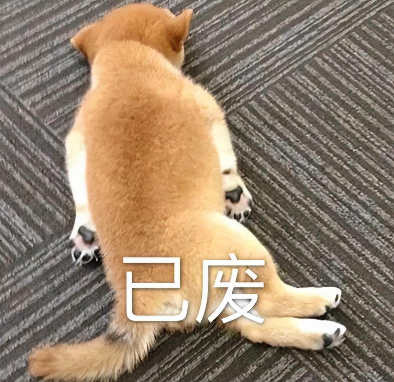 出国留学雅思多少分合格,优秀的海外留学院校基本语言要求分享(图3)