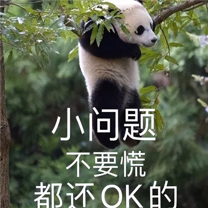 出国留学雅思多少分合格,优秀的海外留学院校基本语言要求分享(图5)