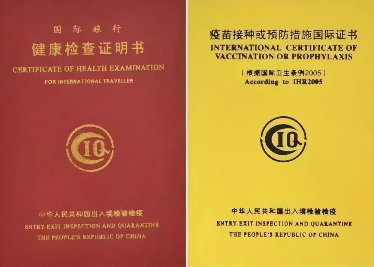 出国留学体检要求有哪些,最新最全的留学体检攻略推荐(图2)