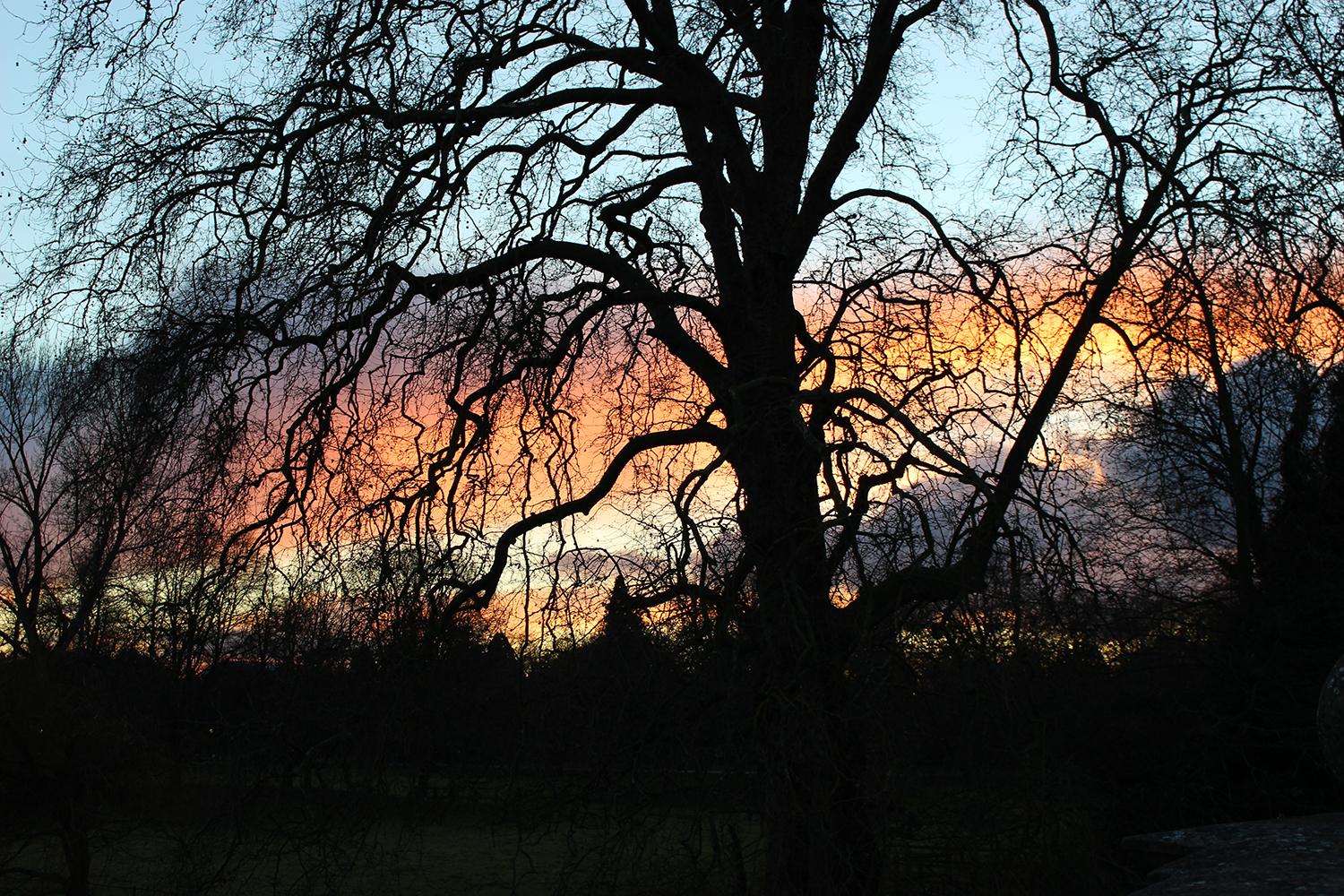 英国留学金融类专业该如何选择,详细的英国金融类专业方向介绍(图3)