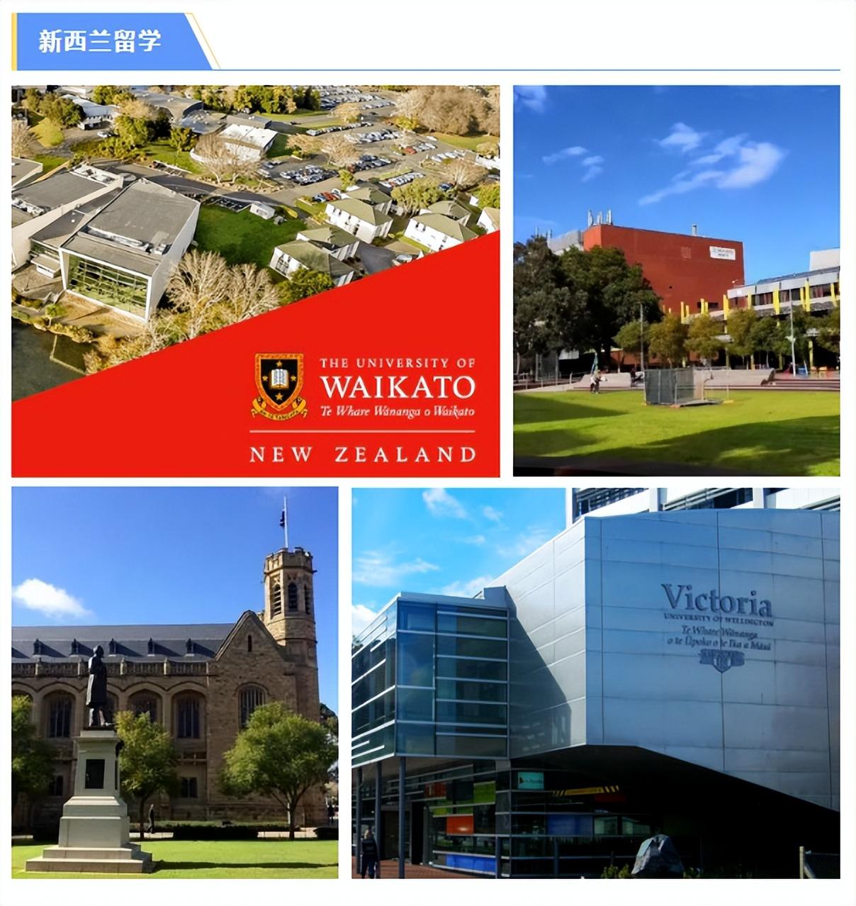 西南财经大学出国留学项目怎么申请,最强的西南财经大学本科留学项目报考指南分享(图7)