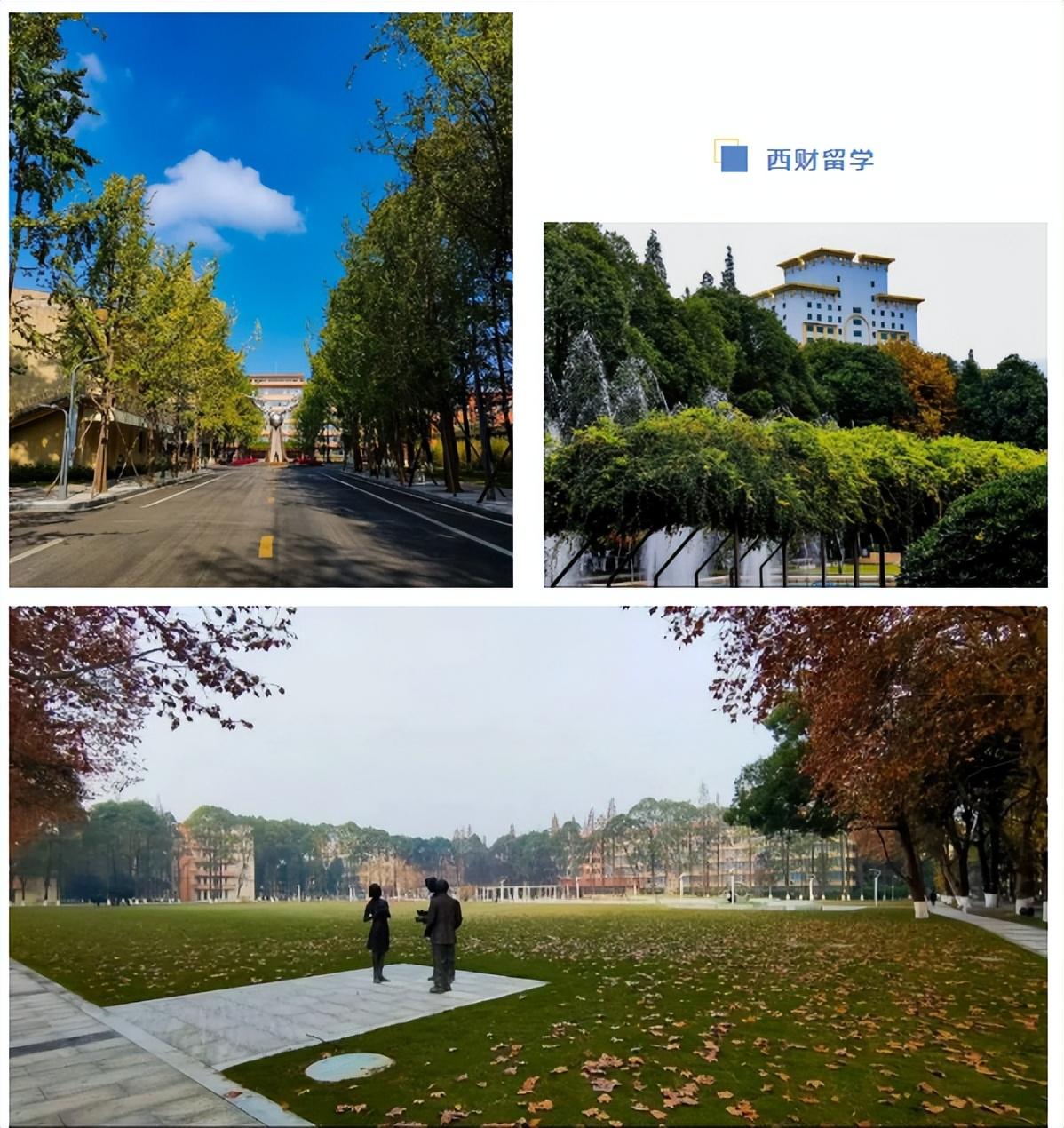 西南财经大学出国留学项目怎么申请,最强的西南财经大学本科留学项目报考指南分享(图2)