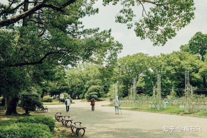 送孩子出国留学的好处和坏处,全面的海外留学的利弊解说(图3)