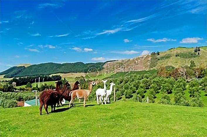 英语不好出国留学怎么交流,出国不会英语的真实案例分享(图3)