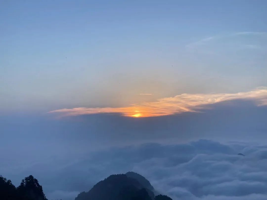 大一退学出国留学可以吗,亲身退学再申请留学的心路历程分享(图1)