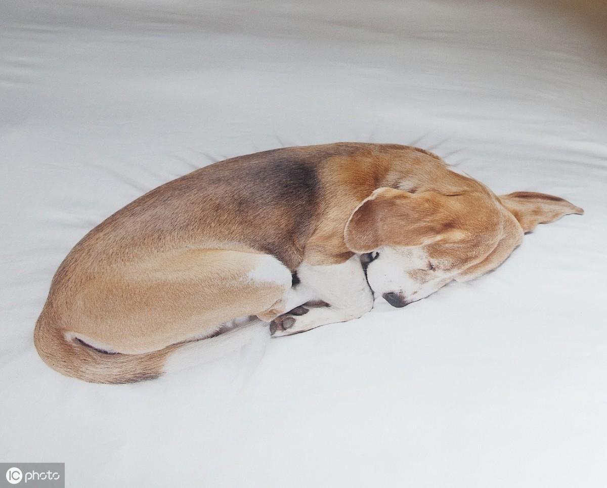 雅思作文怎么样才能得高分,拿下高分的4个雅思写作重点分享(图2)