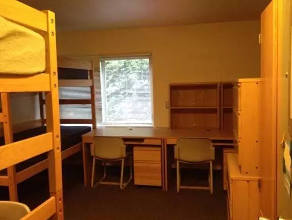 为什么出国留学住宿这么贵,常见国外住宿类型介绍附优缺点(图5)