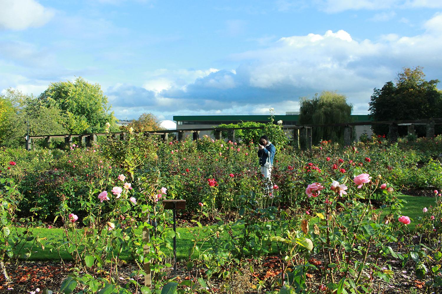 英国出国留学要带什么证件,详细的英国留学材料清单一览(图1)