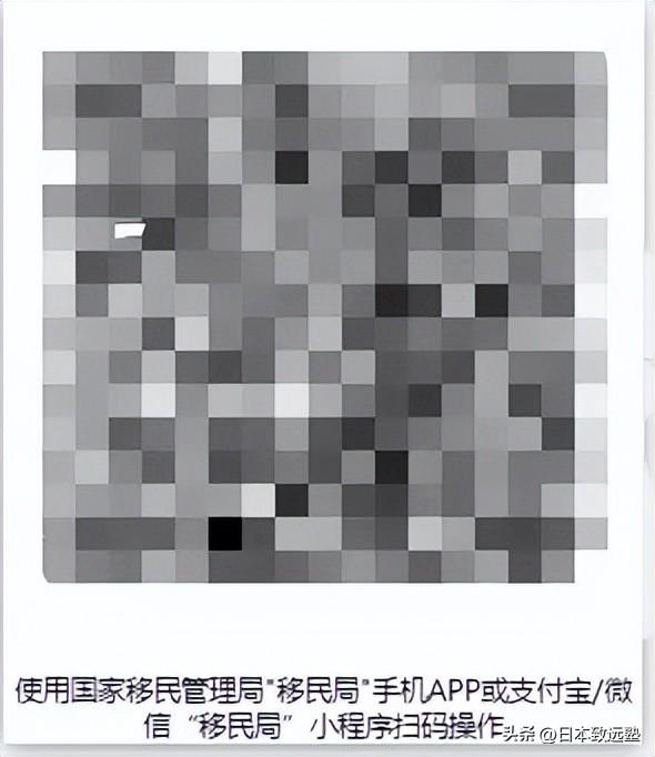 如何查询出入境记录,快速在线查询出入境记录的方法分享(图11)