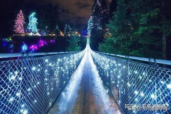 高中生出国留学加拿大条件怎么样,超全的高中申请加拿大留学攻略推荐(图5)