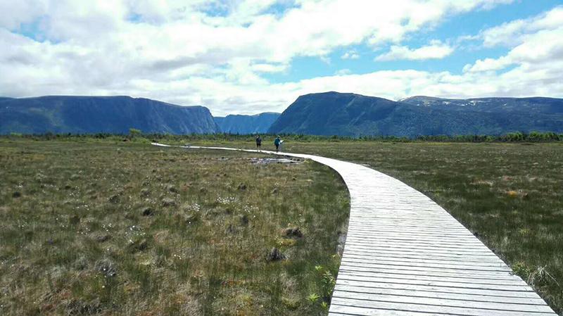大三加拿大留学的条件和要求是什么,大三申请加拿大留学的保姆级攻略分享(图1)