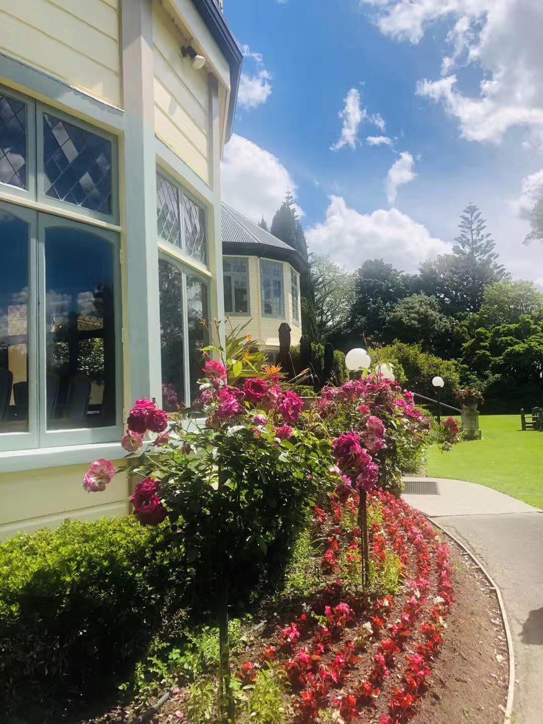 航空专业梅西大学留学难吗,超全的新西兰梅西大学学航空专业介绍(图2)