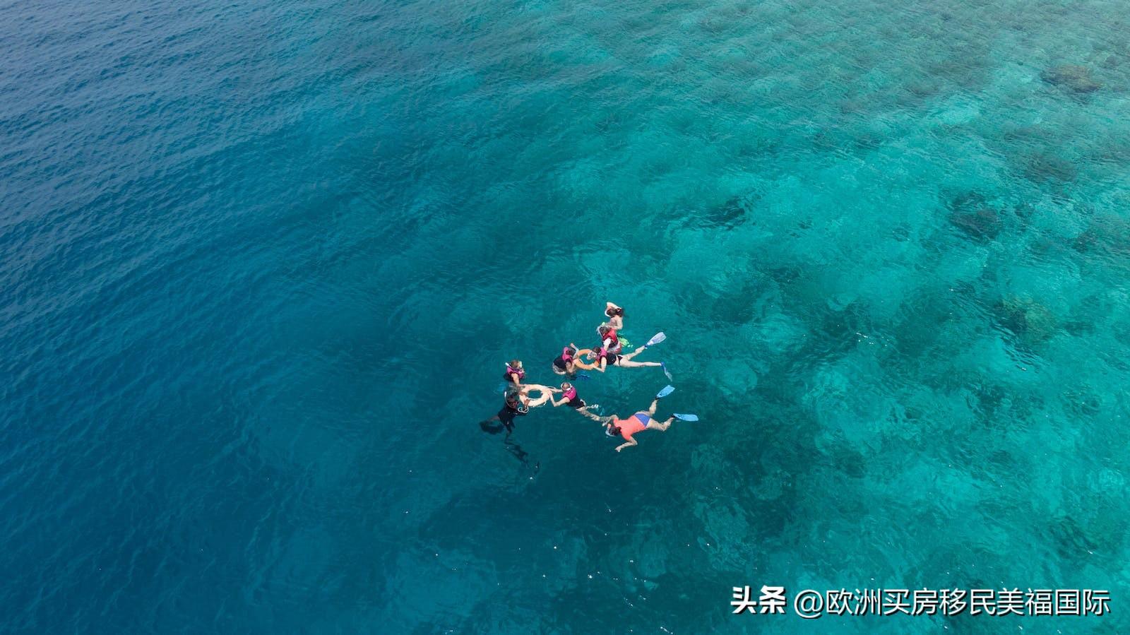 欧洲留学移民签证怎么办理,超强的欧洲移民签证办理攻略一览(图4)