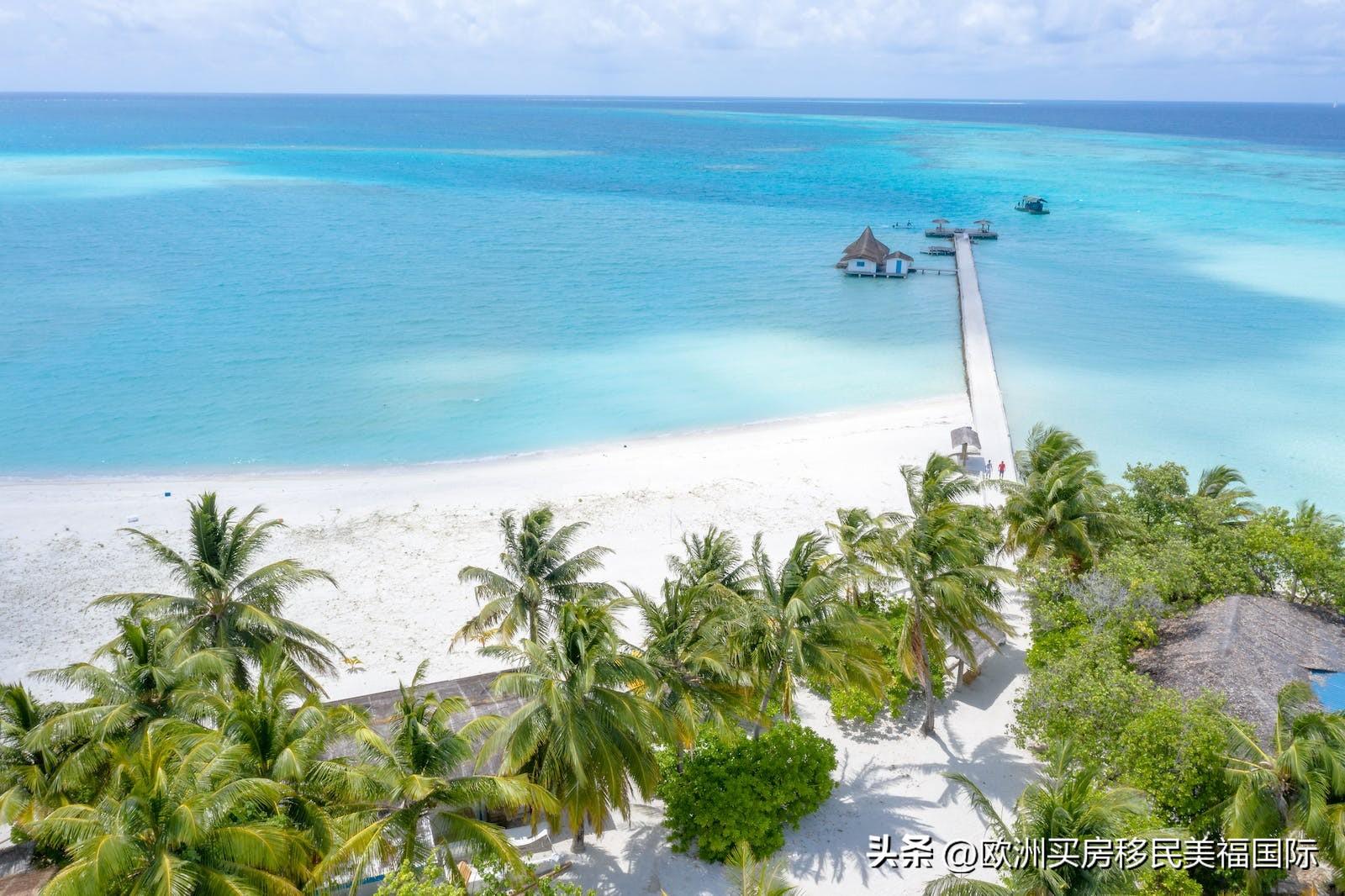 欧洲留学移民签证怎么办理,超强的欧洲移民签证办理攻略一览(图1)