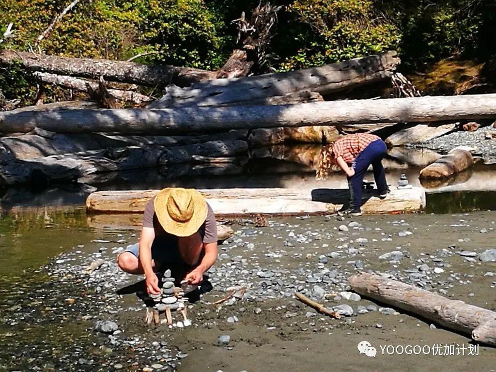 加拿大留学打工赚钱吗现在,最新加拿大各省及联邦的最低工资一览(图1)