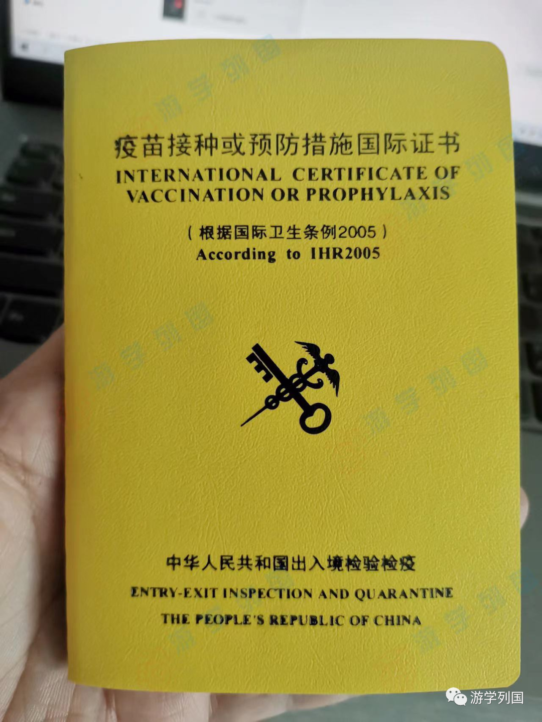 菲律宾留学订机票怎么订,保姆级入境菲律宾的签证及机票办理攻略分享(图3)