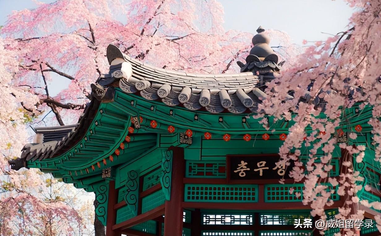 广告专业留学什么国家好,爆火的传媒留学国家推荐(图6)