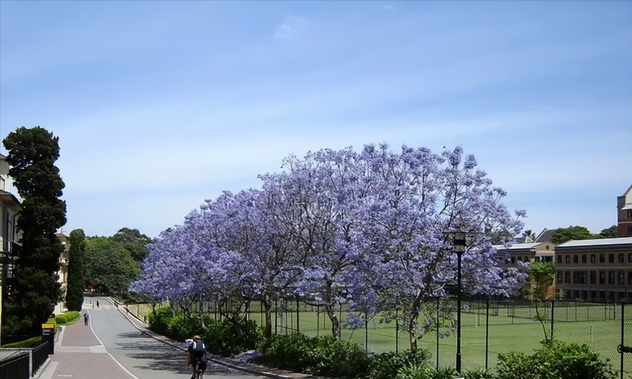 中考失利留学好还是读中专好,初中留学及读中专的优劣之处详解(图1)