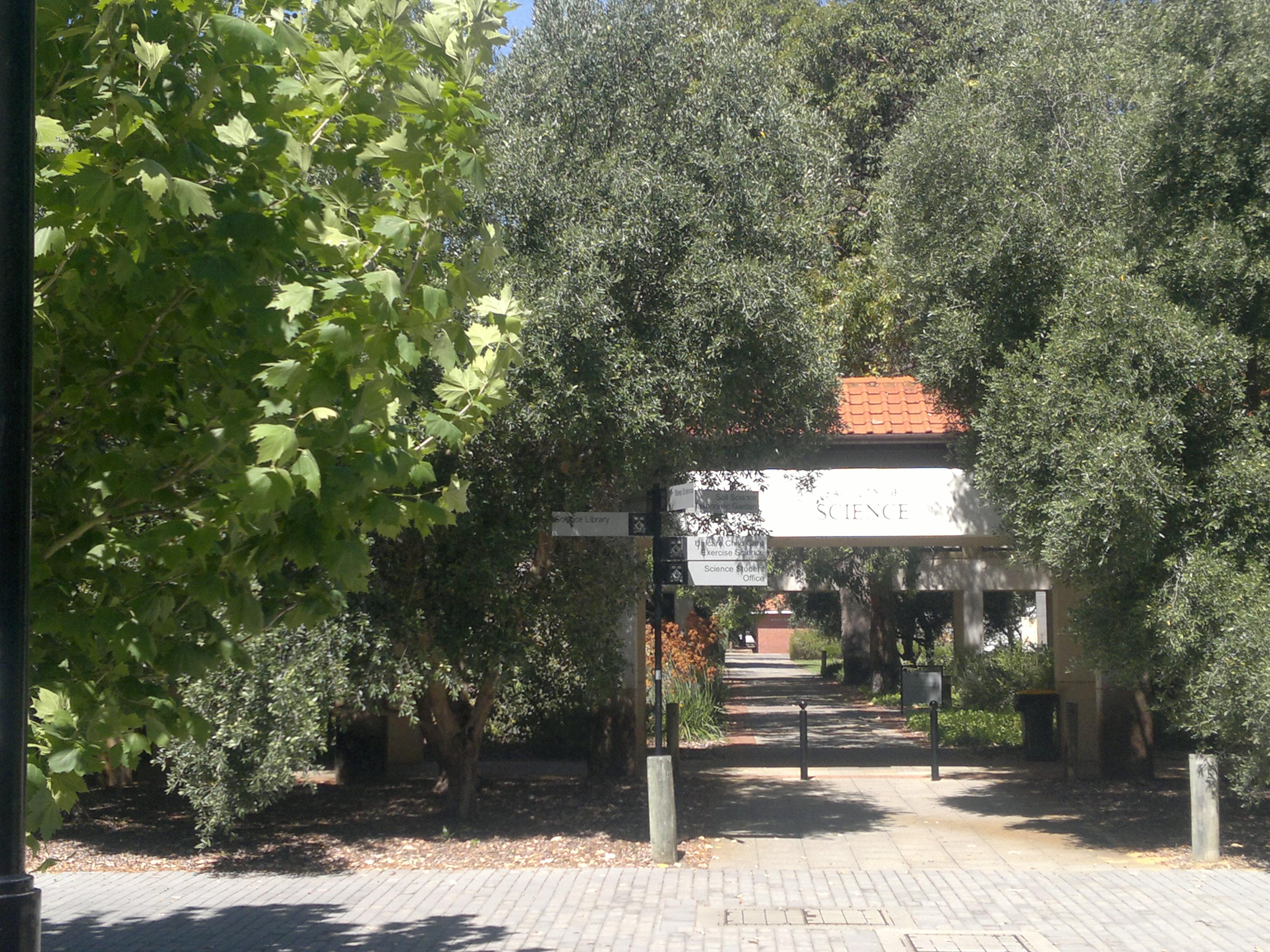 西澳大学运动专业怎么样,详细的西澳大学运动科学硕士介绍(图1)