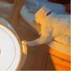 美术生出国留学怎么选专业,揭秘美术生选留学专业的小窍门(图15)