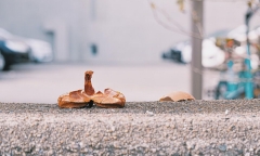 出国留学有什么弊端,深度讲解海外留学的利与弊(图2)