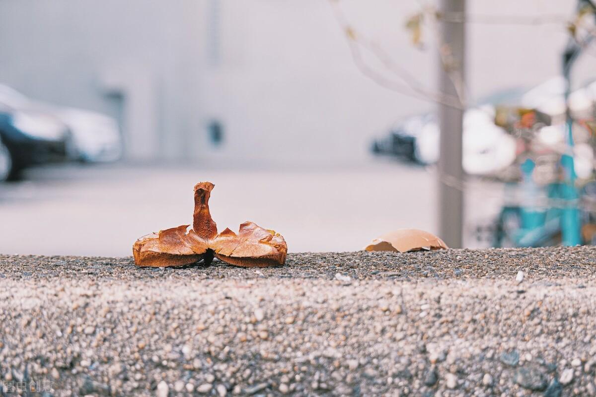 出国留学有什么弊端,深度讲解海外留学的利与弊(图1)