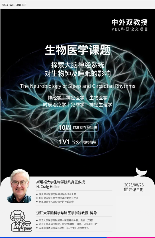 美国出国留学申请时间表,24fall美国留学申请的大致时间节点一览(图6)