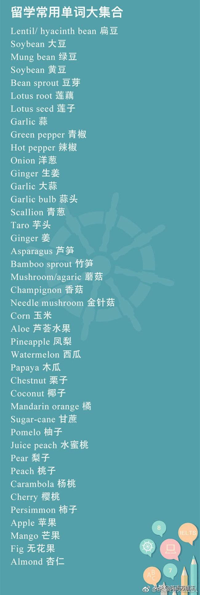 出国留学英语必备单词大全,留学萌新必看的留学常用单词大集合(图7)