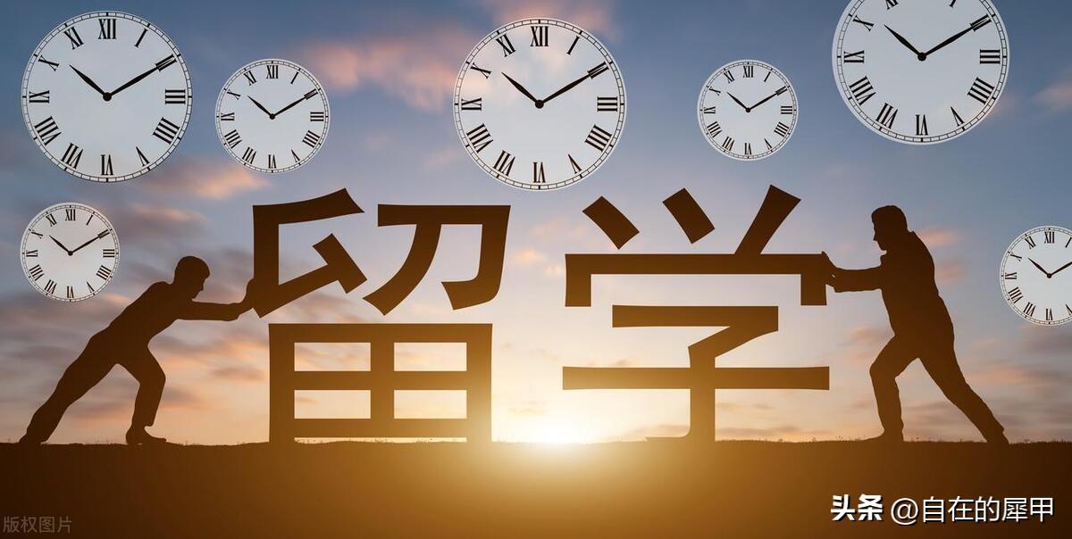 怎么认证高考成绩和办理成绩报告,值得一看的留学成绩报告办理指南一览(图1)