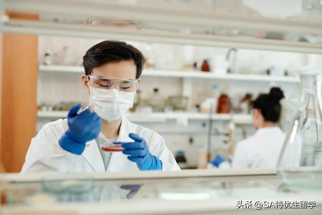 申请生物专业留学要准备什么证书,生物专业留学申请必备的顶流竞赛证书一览(图1)