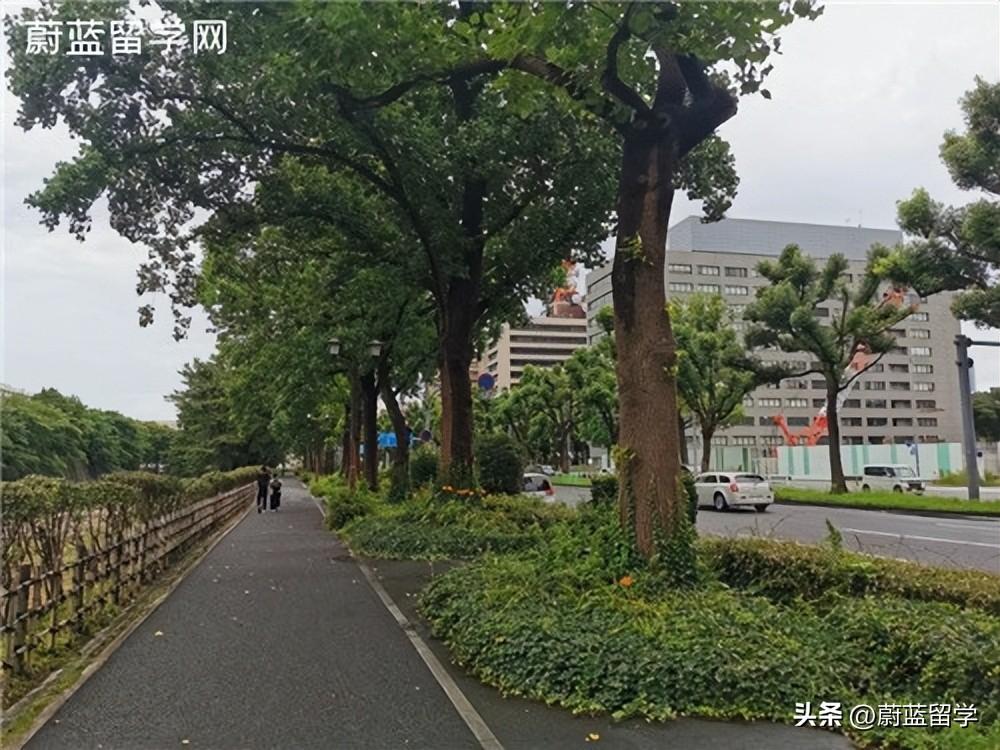 日本出国留学流程是什么,最牛的大学生日本留学指南分享(图2)