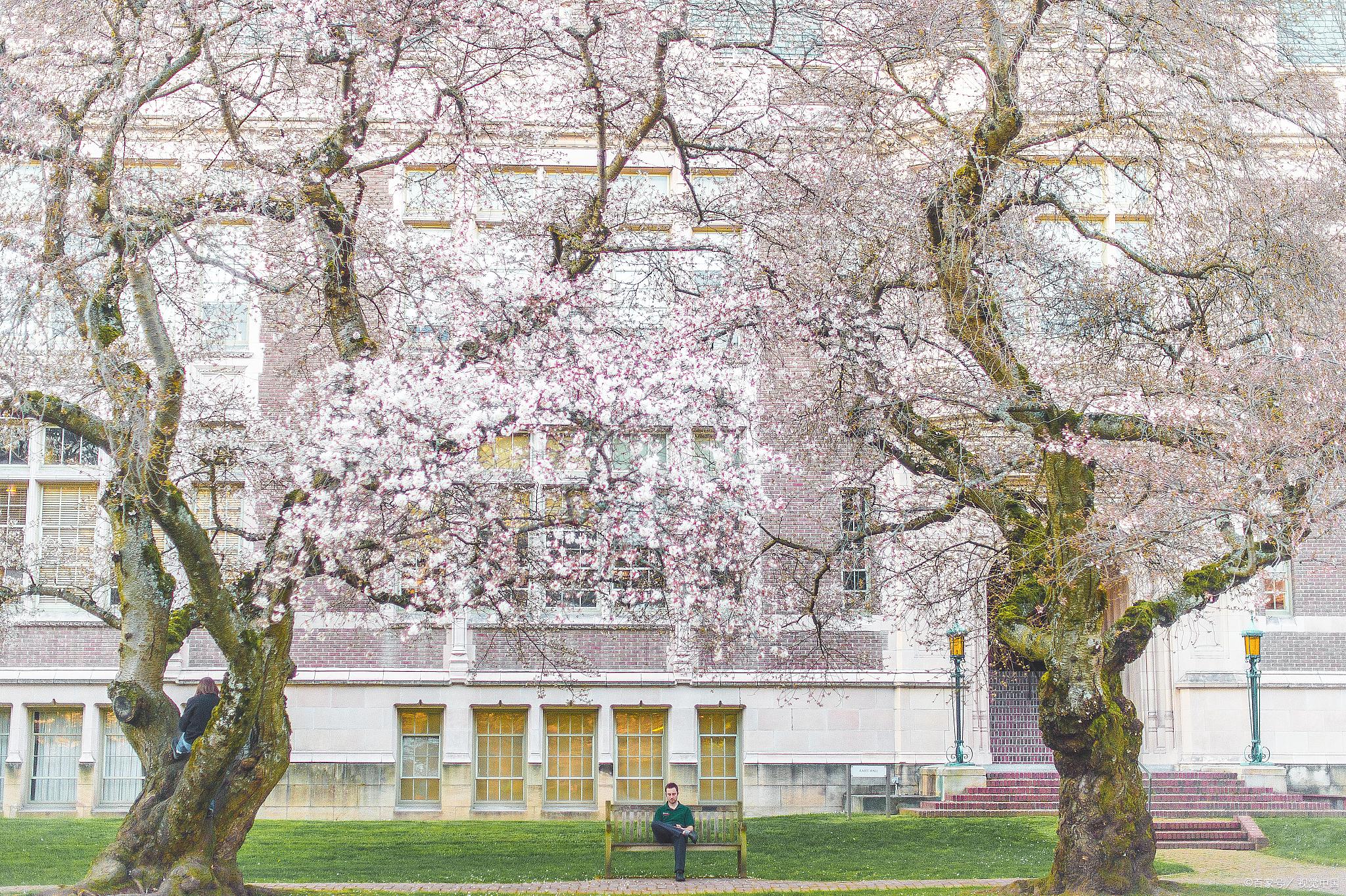 韩国梨花女子大学留学条件,2024韩国艺术留学梨花女子大学的详细申请攻略分享(图2)