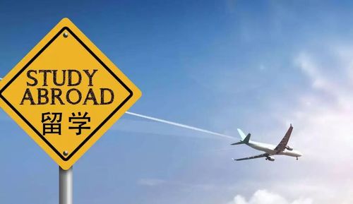 美国留学签证多久,美国留学签证办理时长详解(图1)