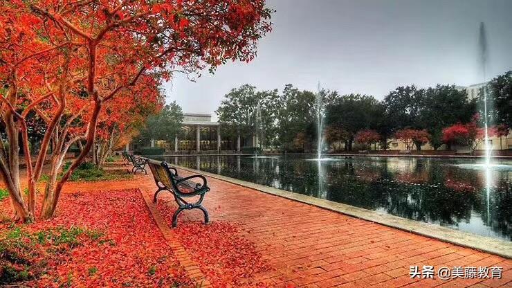 中学生如何申请美国留学,最佳的初中美国留学指南分享(图1)