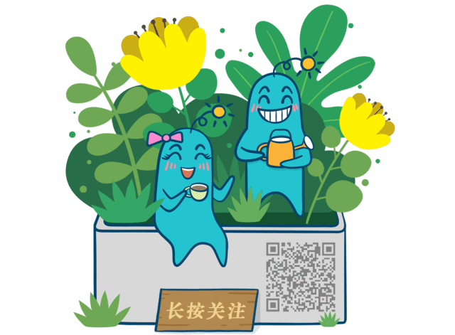 留学信息网站公众号有哪些,7个超优质的学英语看世界的公众号推荐(图5)