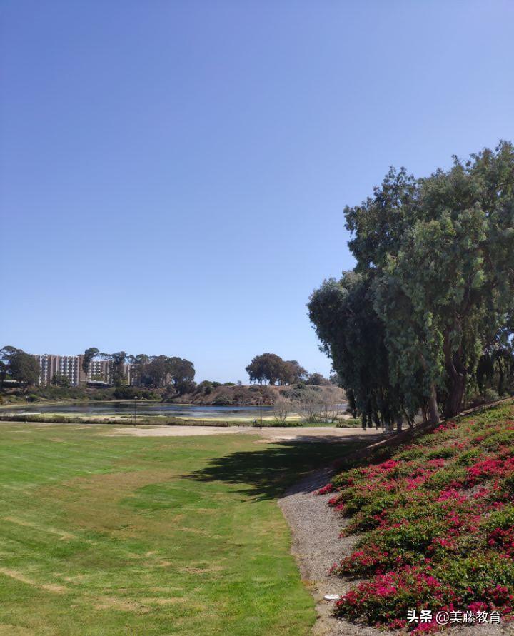 美国签证被拒后怎么补救,美国留学签证被拒的挽救方法一览(图1)