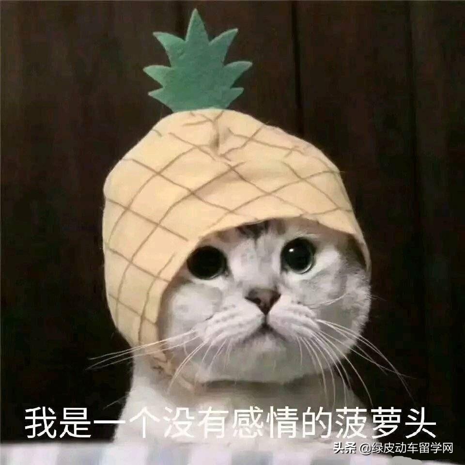 日本热门大学申请条件有哪些,20所顶尖的日本大学修士申请条件汇总分享(图1)