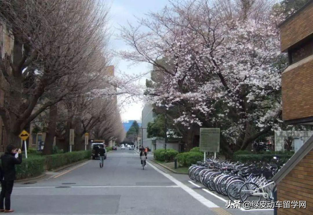 日本热门大学申请条件有哪些,20所顶尖的日本大学修士申请条件汇总分享(图7)