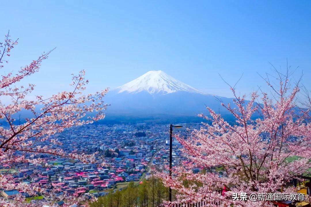 国内考研和日本读硕有哪些区别,深度剖析国内研究生vs日本修士的区别(图1)