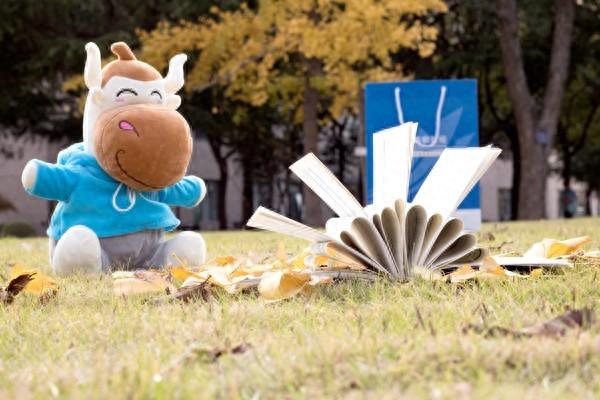 英国女校留学费用一般要多少,一文全面解析英国女子高中学费(图1)