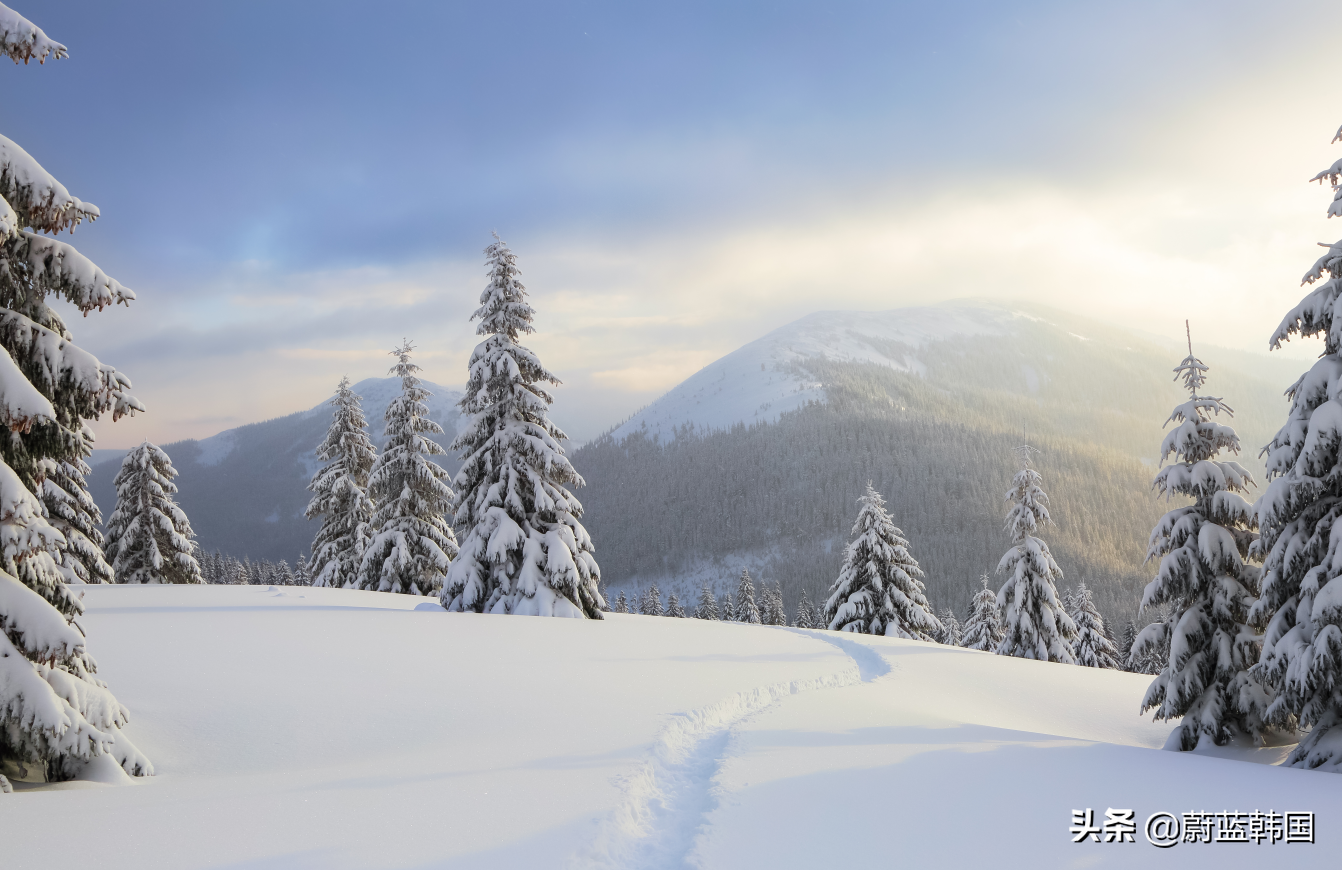 首尔大学留学条件是什么,韩国首尔大学留学申请要求汇总分享(图1)