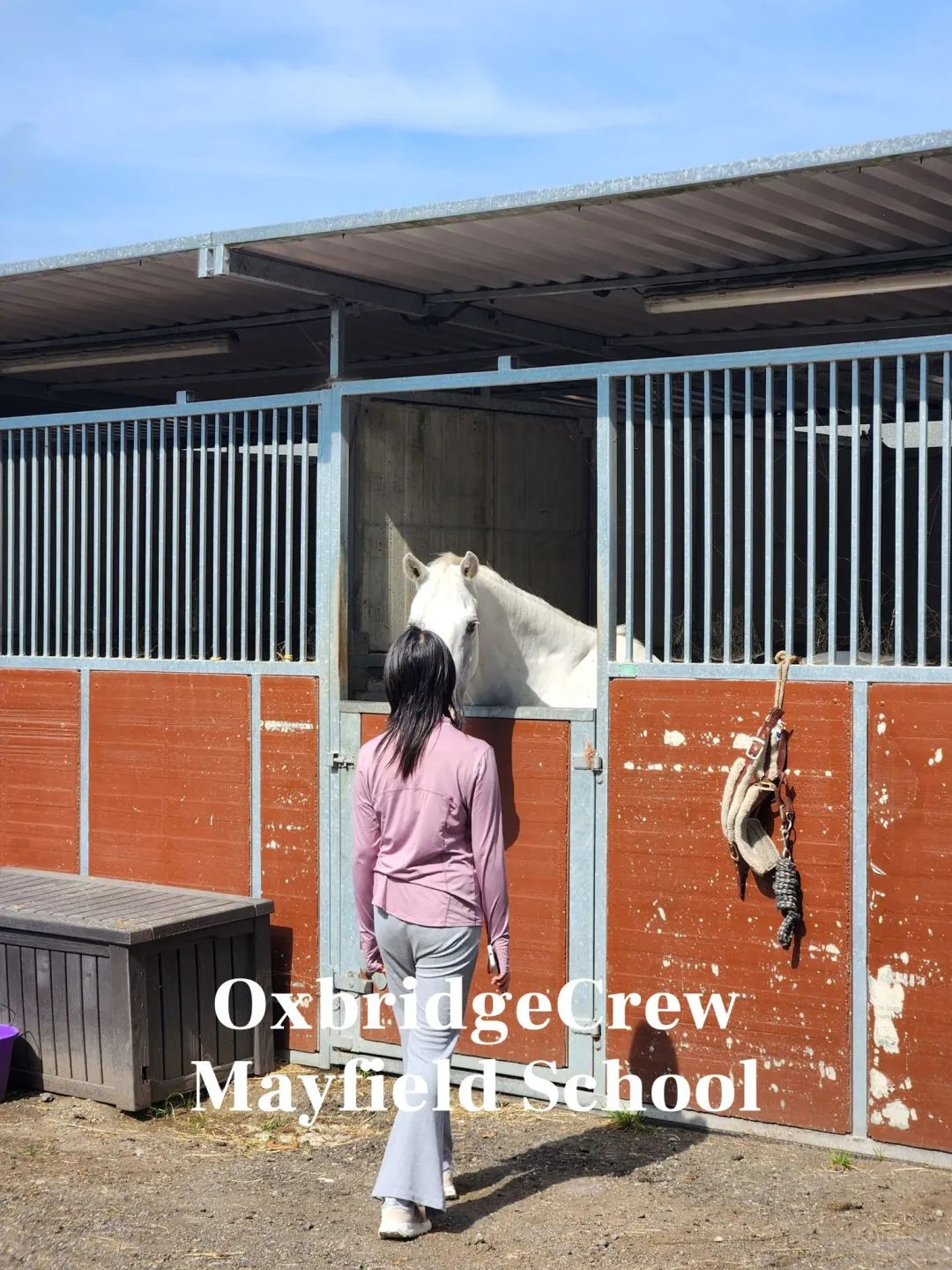 小学就送孩子去英国留学有哪些好处,一文秒懂小学生到英国留学的优势(图2)