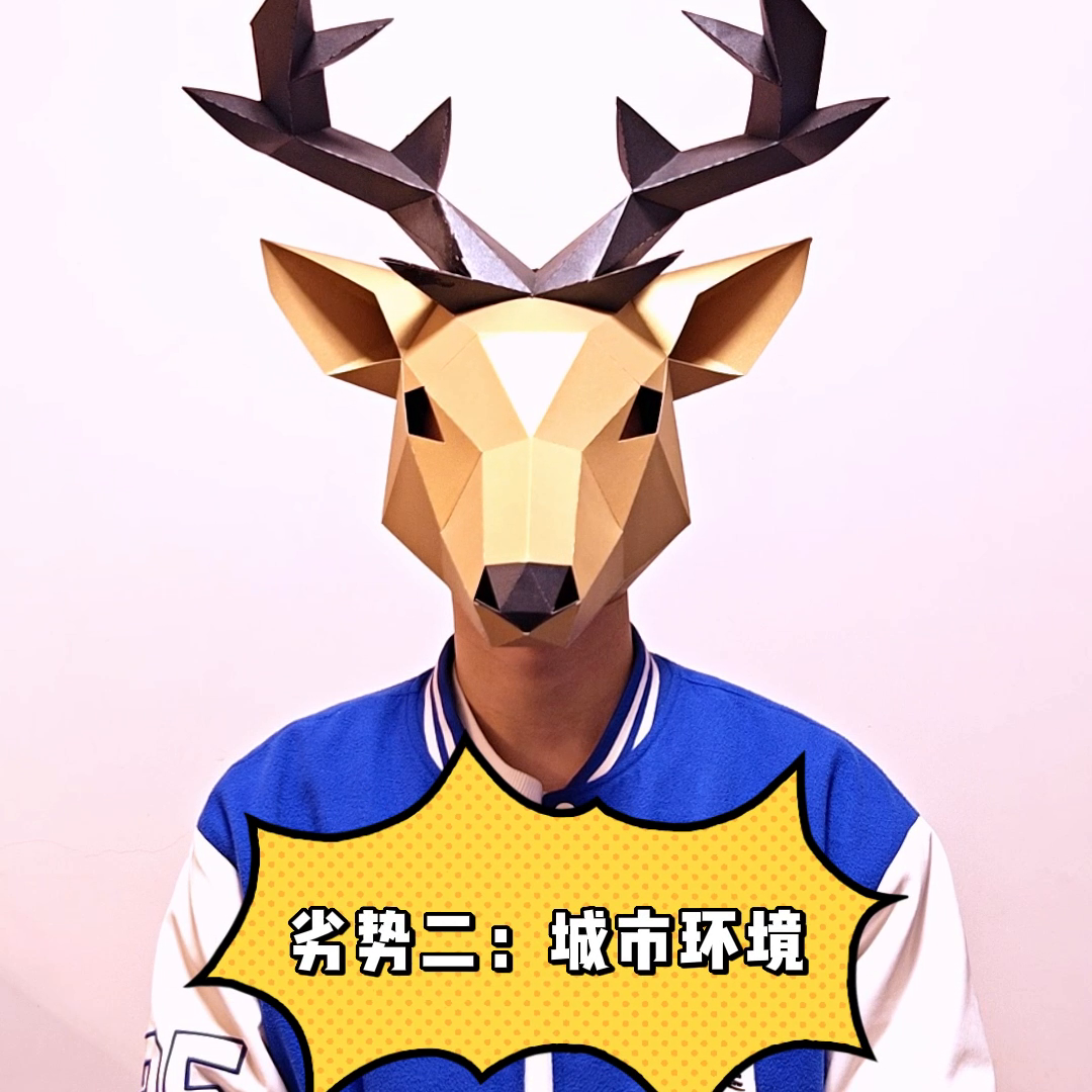 想去爱尔兰留学可行吗,爱尔兰留优势和劣势大对比(图4)