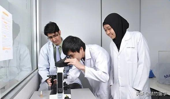 出国留学教育学专业可行吗,留学界最有前景的教育学解析(图8)