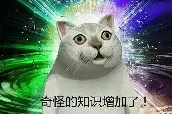 留学视频面试有哪些注意事项,留学生的7大视频面试技巧大揭秘(图1)