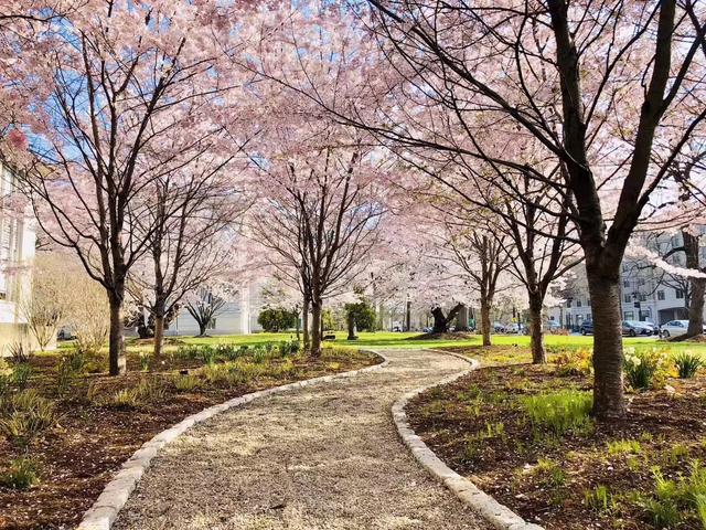 美国留学面试问题怎么回答,美国留学面试热点问题及优秀答复分享(图1) 美国留学面试,如何提问及回答能让招生官满意